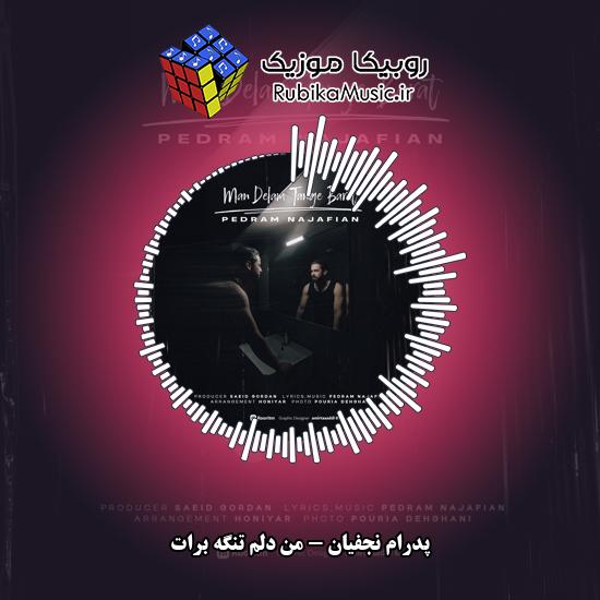 دانلود آهنگ من دلم تنگه برات پدرام نجفیان